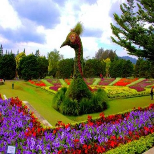 paket tour bali 4d3n hemat
