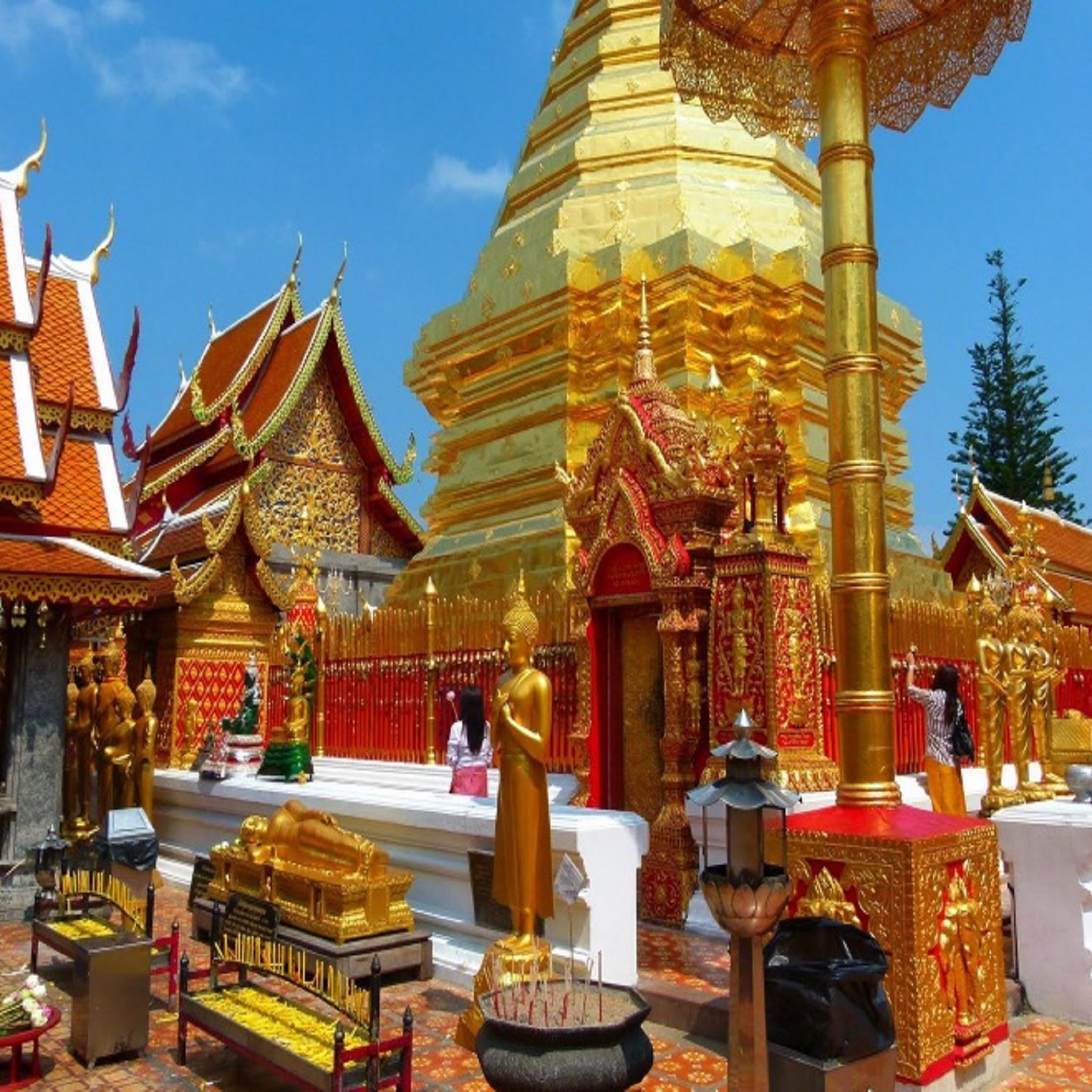 paket tour chiang mai rev
