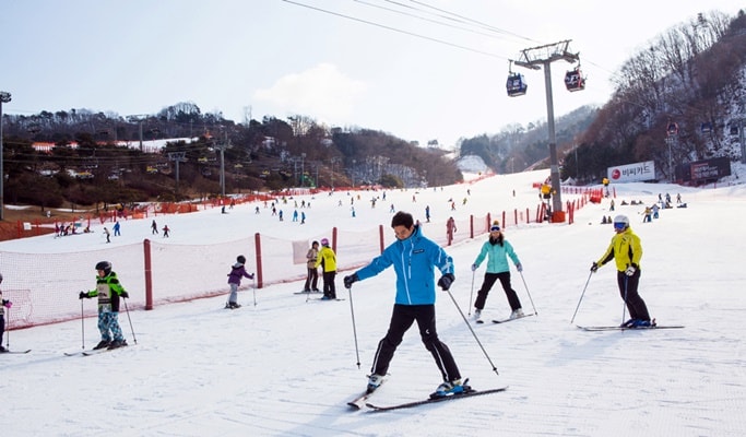 paket tour korea