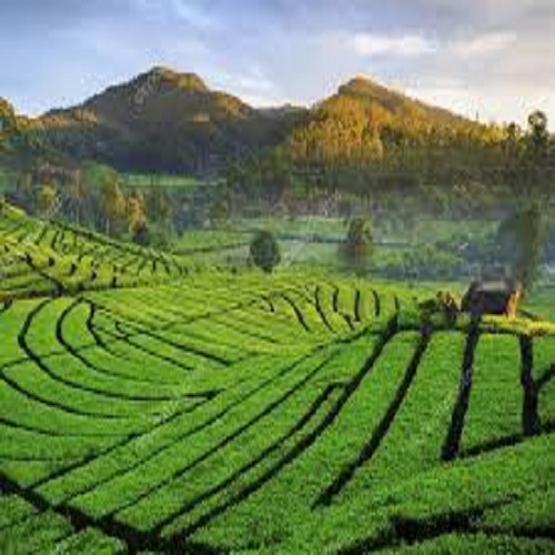 Paket Wisata Bandung 2 Hari 1 Malam C